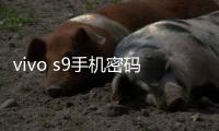 vivo s9手機密碼忘了怎么刷機？一鍵解鎖法 極速開機