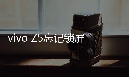 vivo Z5忘記鎖屏密碼怎么辦？別急，線刷寶給您支招