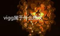 vigg屬于什么檔次 vigg是哪個國家的牌子