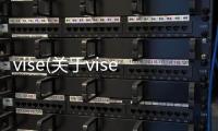 vise(關于vise簡述)