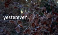 yesterevening(關于yesterevening簡述)