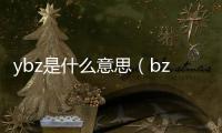 ybz是什么意思（bz罵人用語）