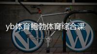 yb體育鮑勃體育綜合課程大全