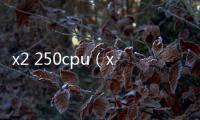 x2 250cpu（x2 250）