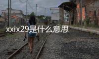 xxix29是什么意思 xxix
