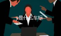 y是什么車標
